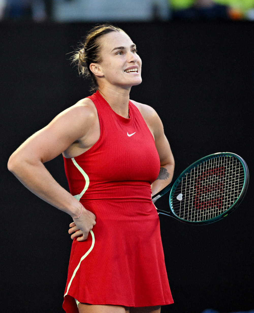 的试金石 的试金石